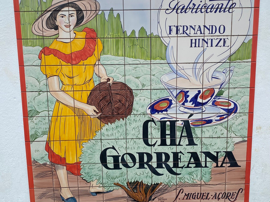 Plantações de Chá Gorreana-Maia必去景点