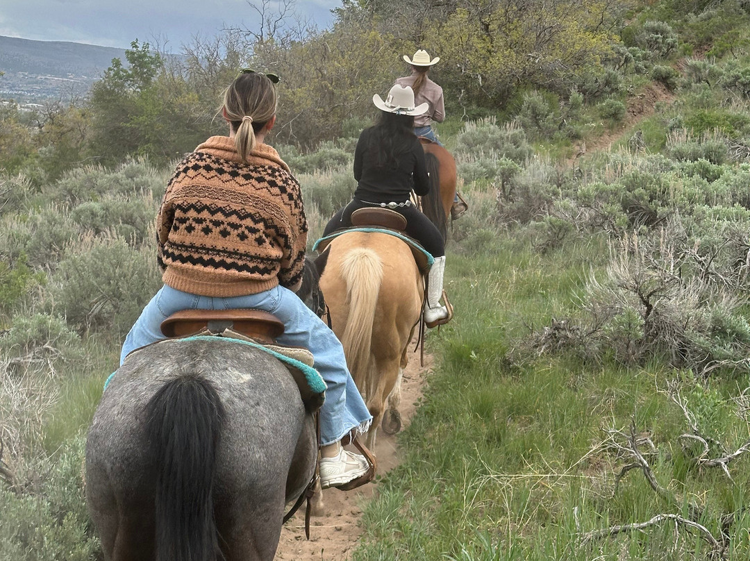 Rocky Mountain Outfitters-Midway必去景点