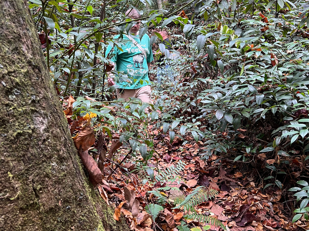 Highlands Outpost-Scaly Mountain必去景点