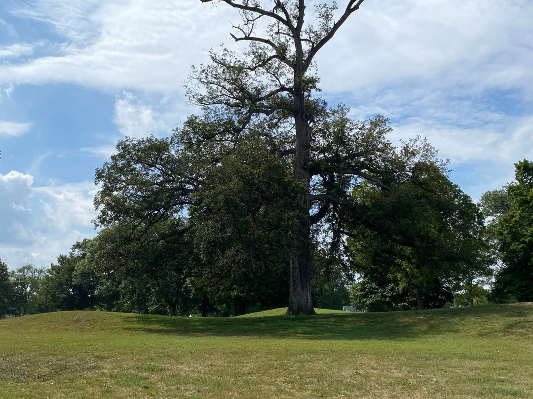 Newark Earthworks-Heath必去景点