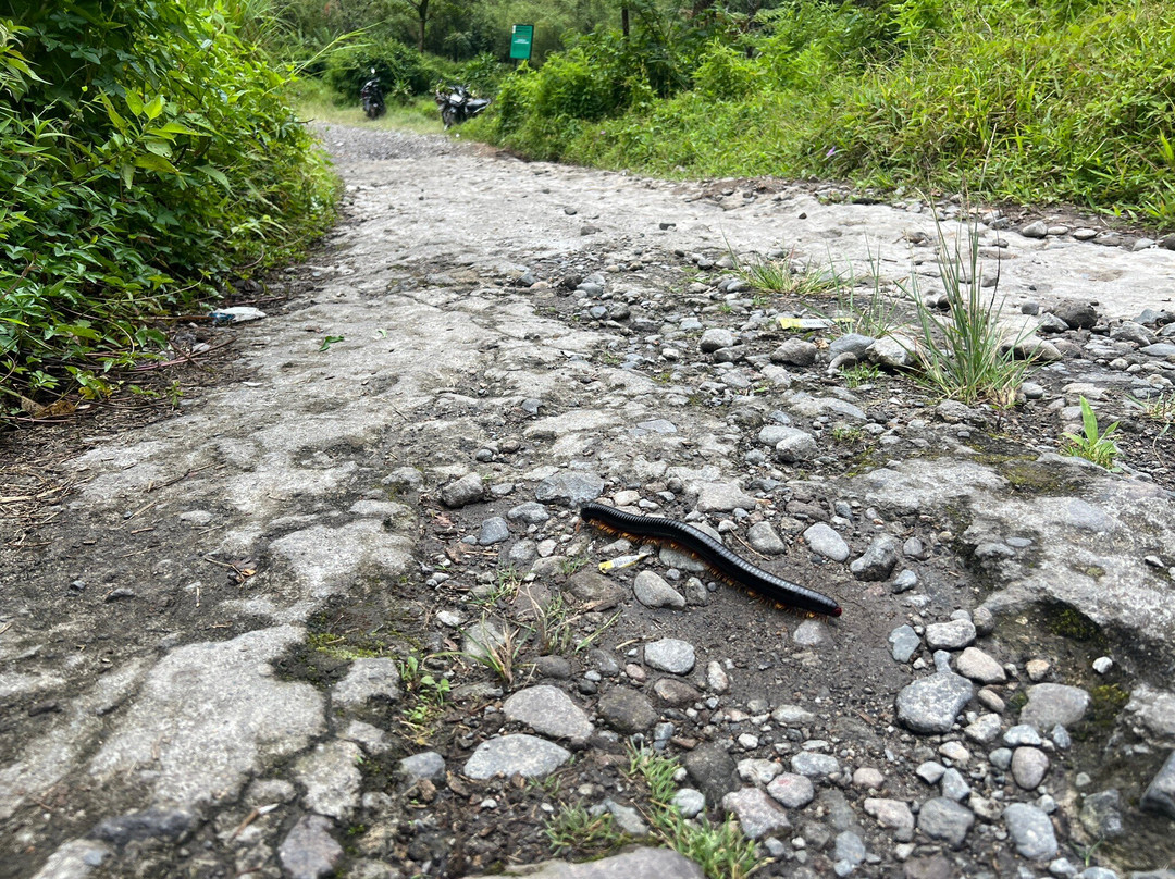Mount Sibayak-不拉士打宜必去景点