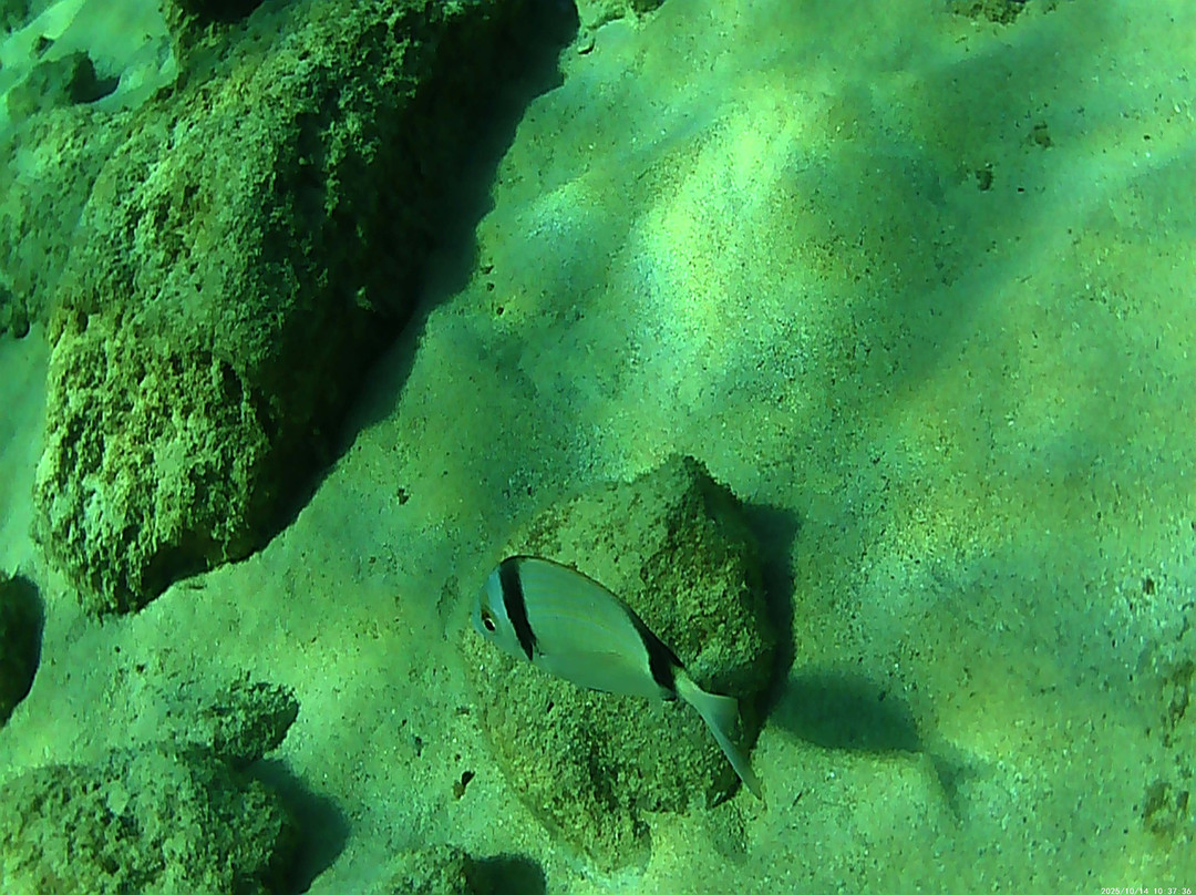 Salty Descents-Kalyves必去景点