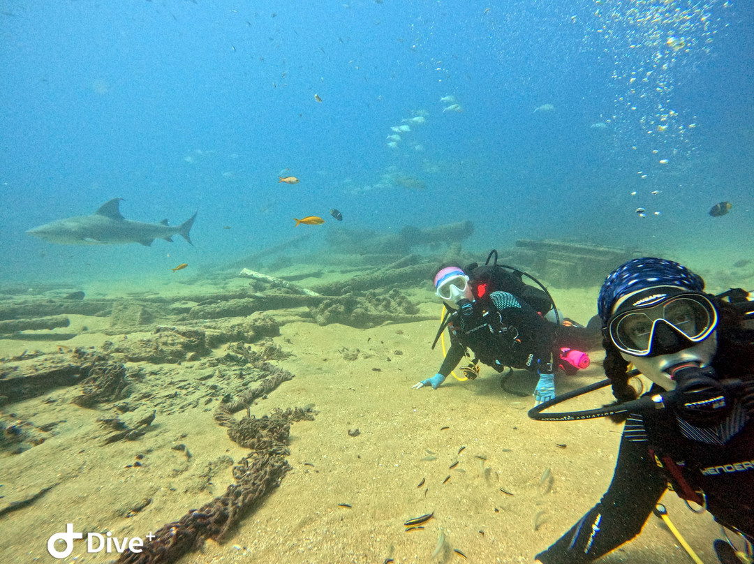 Dive Cabo Pulmo-Cabo Pulmo必去景点