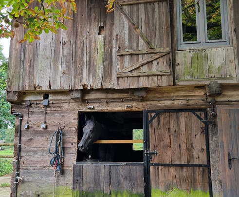 Poznan Tours-波兹南必去景点