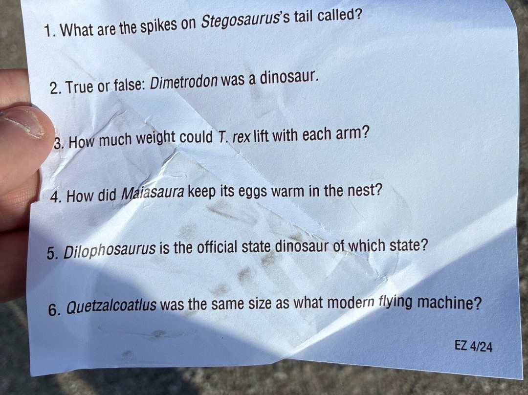 African Safari Wildlife Park-克林顿港必去景点