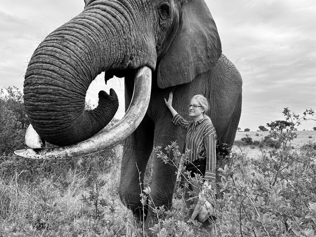 Imire: Rhino & Wildlife Conservation-韦扎必去景点