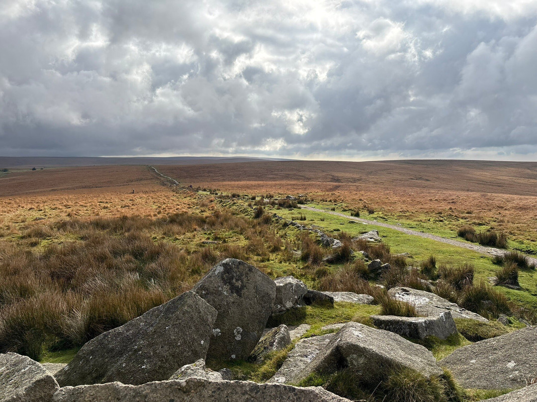 Duchy House Bed And Breakfast主图