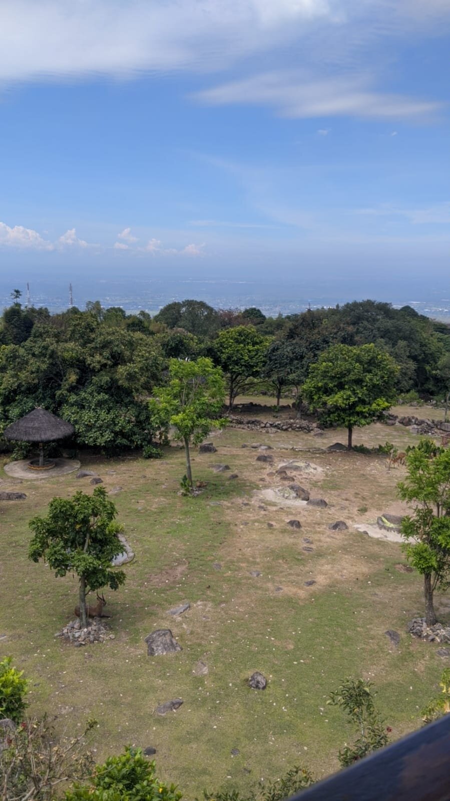 Baobab Safari Resort-官方
