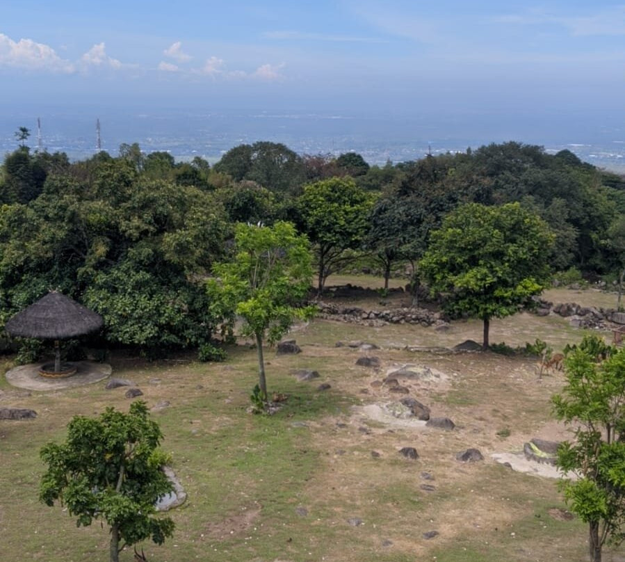 Baobab Safari Resort主图