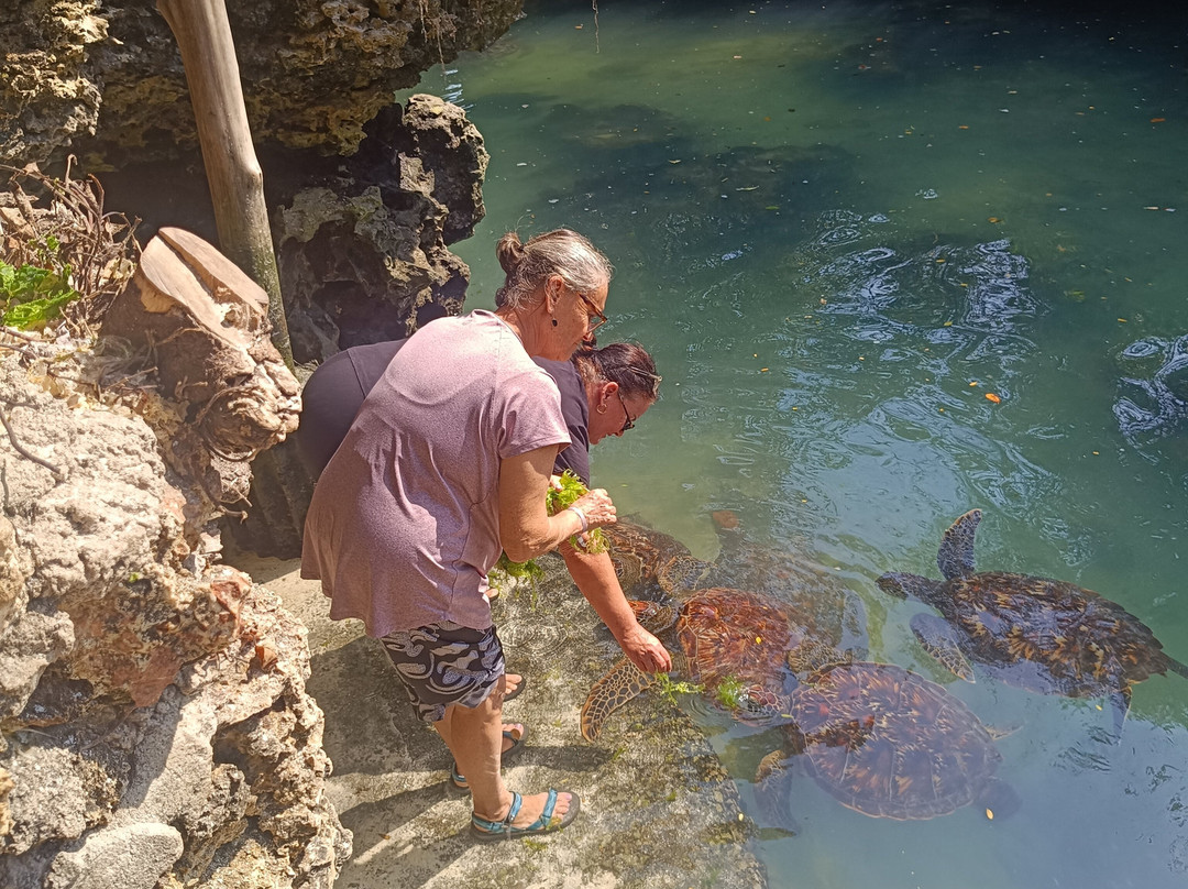 Bravo Zanzibar Travel-桑给巴尔市必去景点