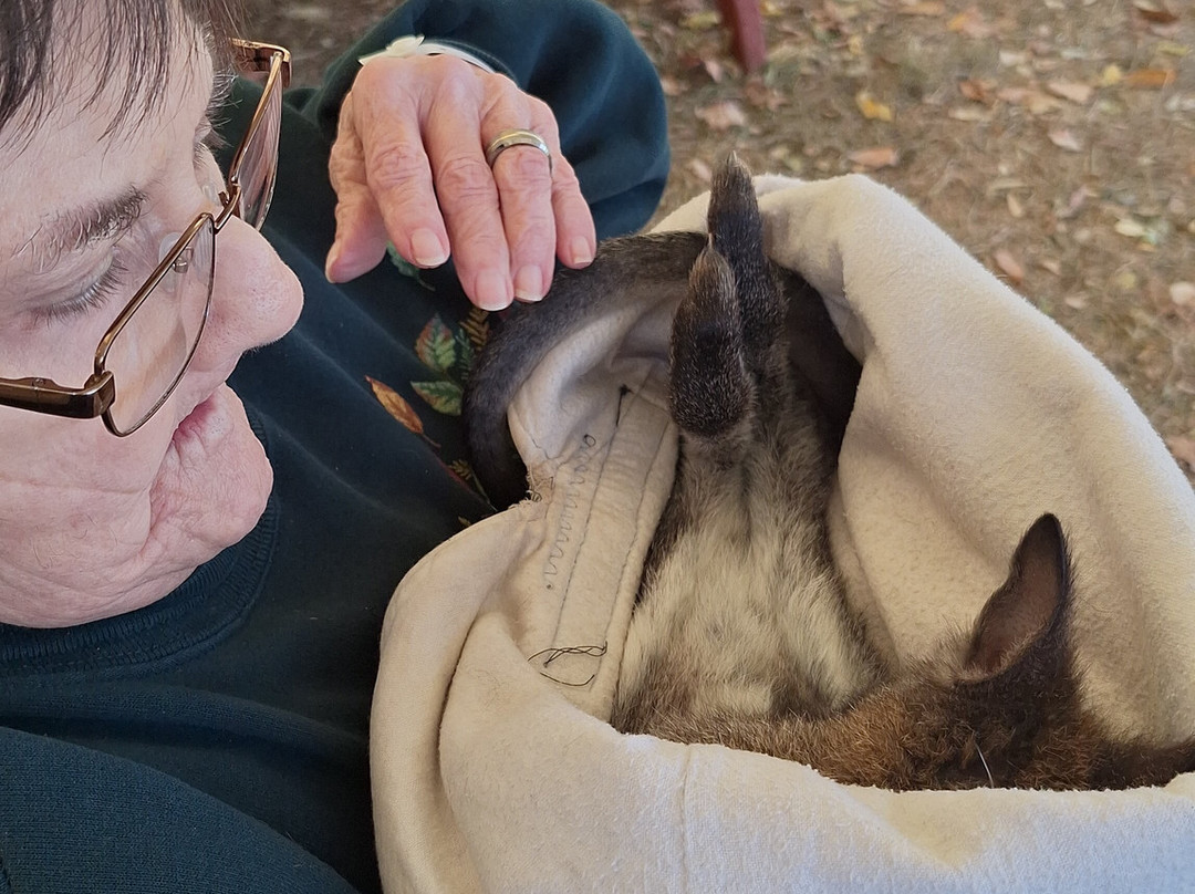 Stokoe Farms-Scottsville必去景点