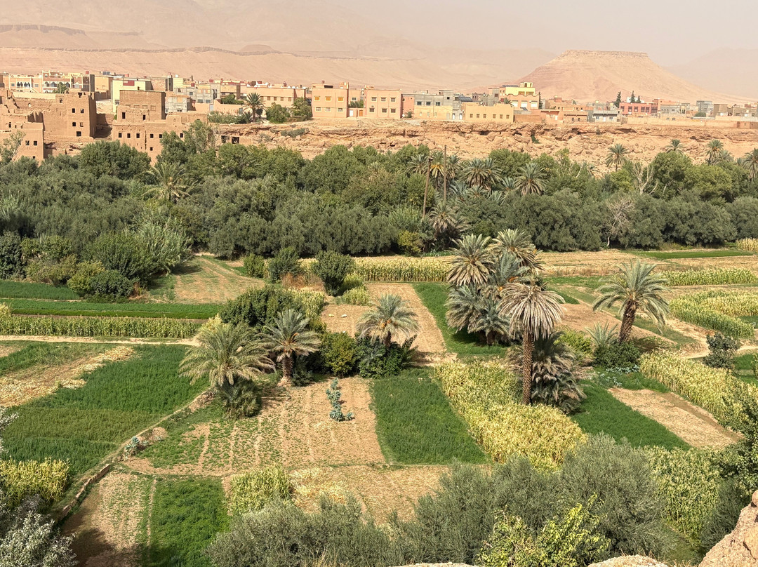 Morocco Colourful Tours-卡萨布兰卡必去景点