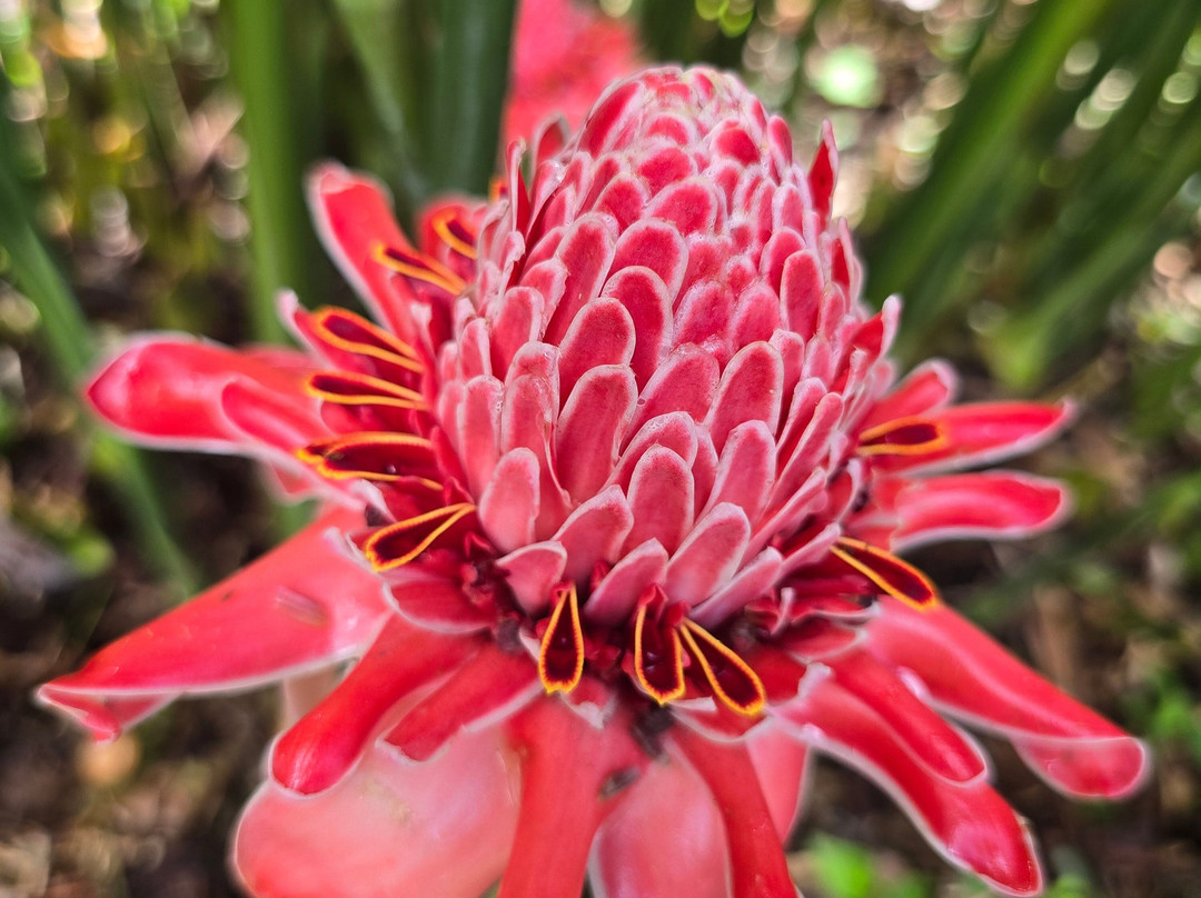 Jardin Botanique de Valombreuse-Petit-Bourg必去景点