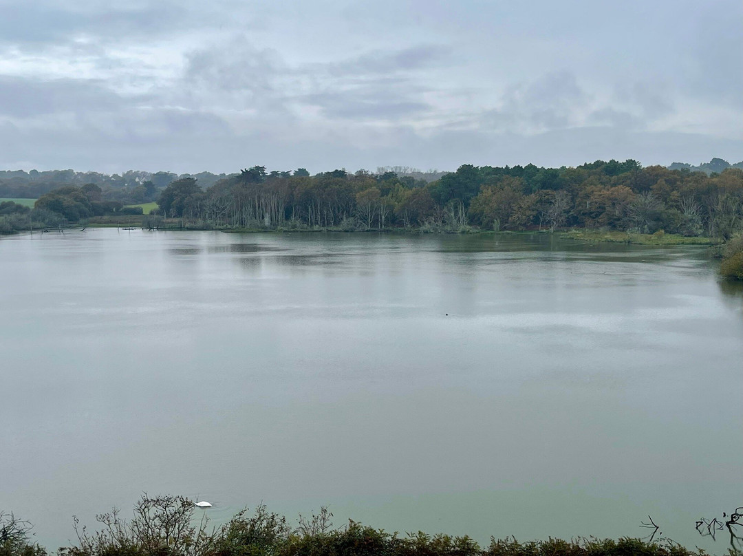 Chateau Suscinio-Sarzeau必去景点