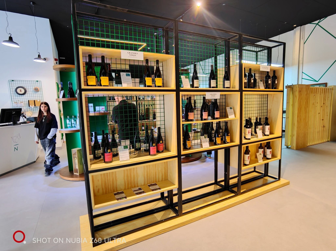 Cariñena Wine Museum-Carinena必去景点