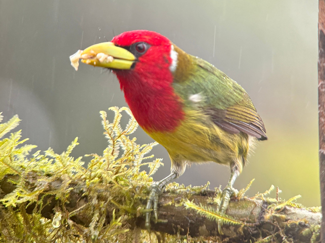 Costa Rica Focus-圣何塞必去景点