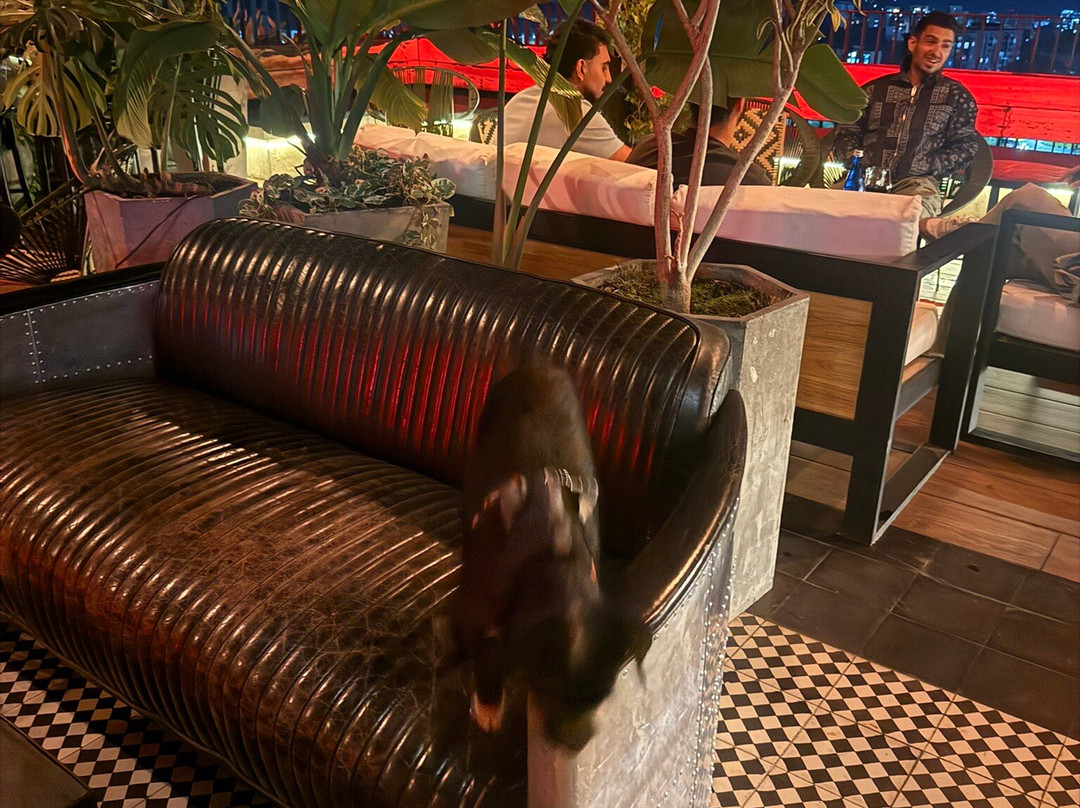 Iconico Terraza
