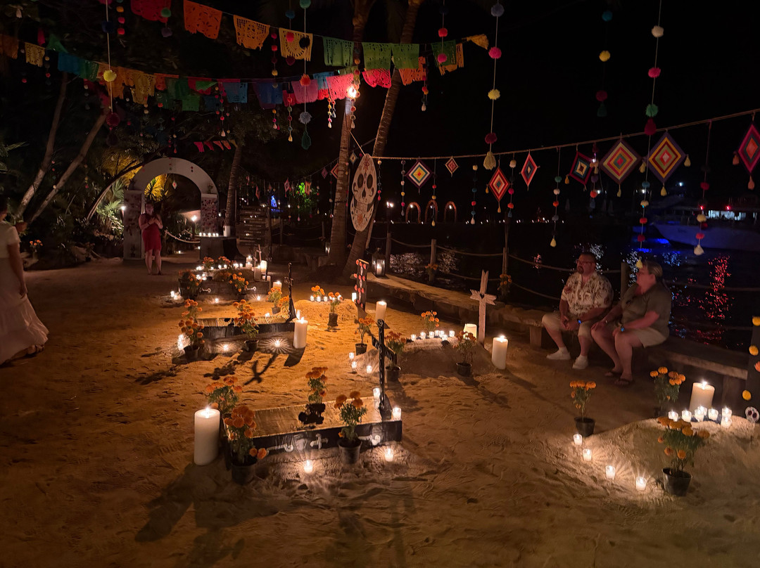 Rhythms of the Night by Vallarta Adventures-瓦拉塔港必去景点