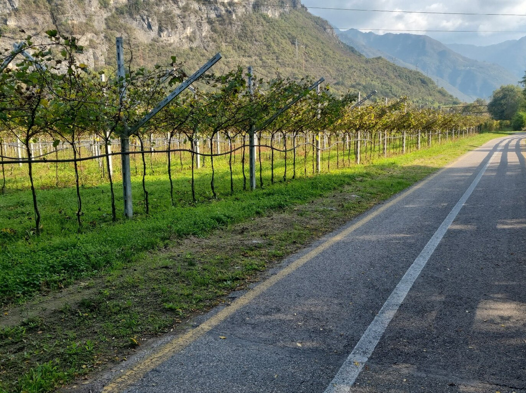 Lago DI Levico-莱维科泰尔梅必去景点