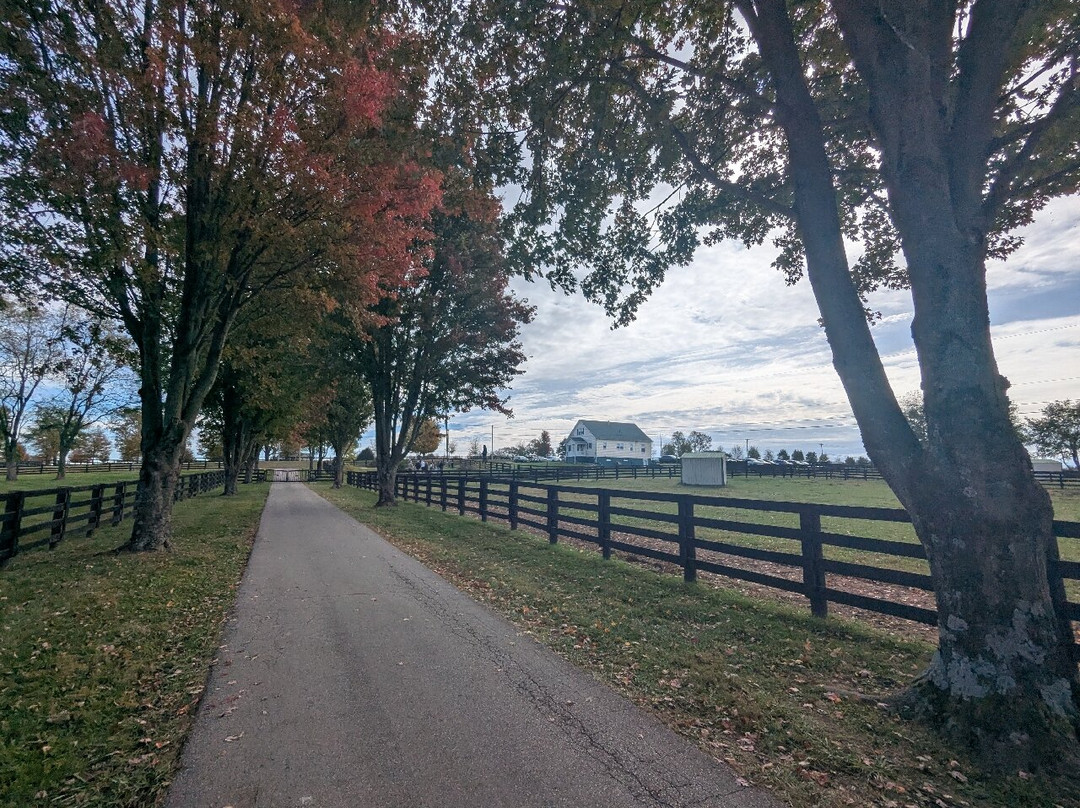 Old Friends at Dream Chase Farm-Georgetown必去景点