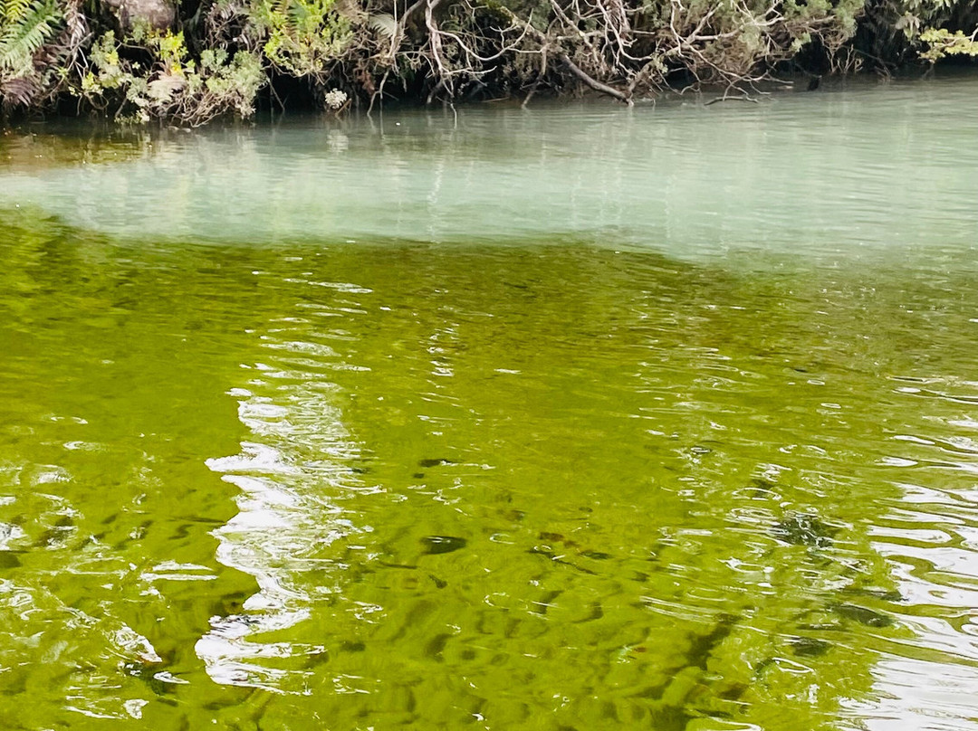 Canales Australes-Tortel必去景点