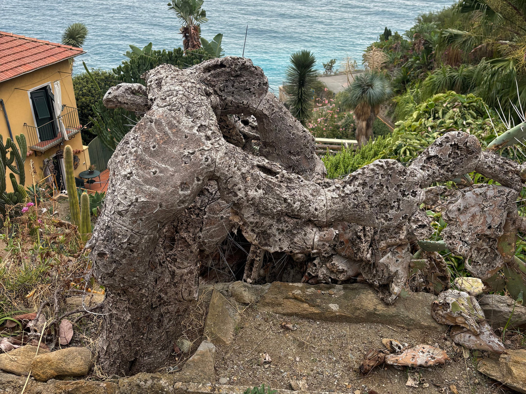 Giardino Esotico Pallanca-博尔迪盖拉必去景点
