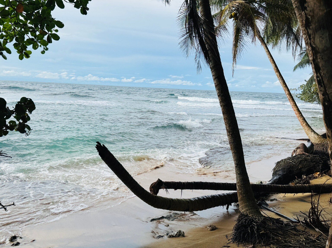 Gandoca - Manzanillo Wildlife Refuge-Province of Limon必去景点