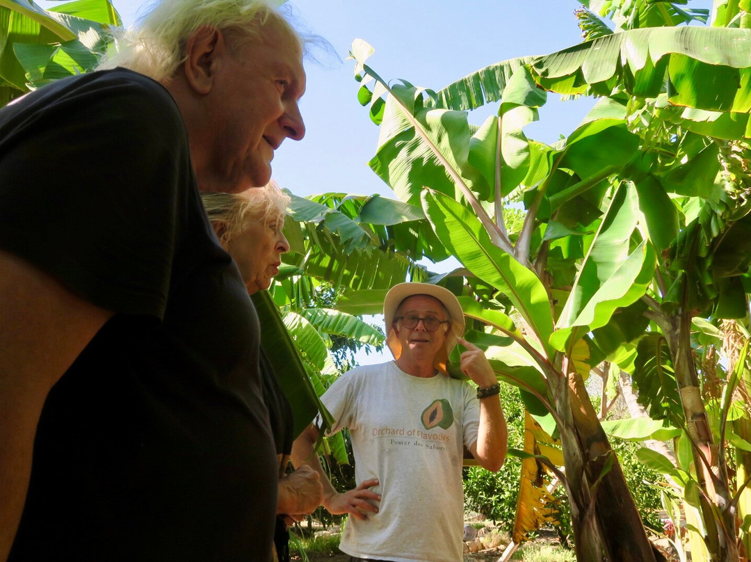 Orchard Of Flavours Botanical Garden-Luz de Tavira必去景点