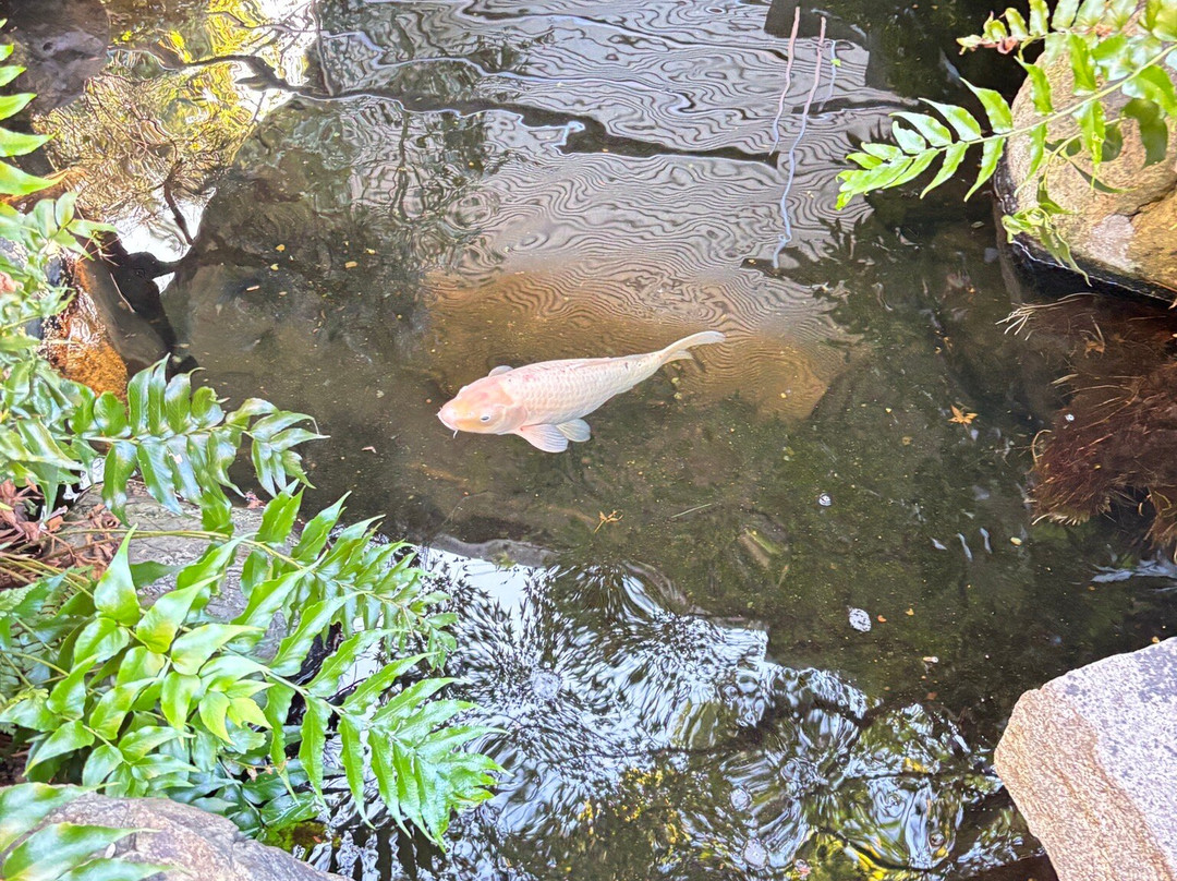 Tanizaki Junichiro Memorial Museum-芦屋市必去景点