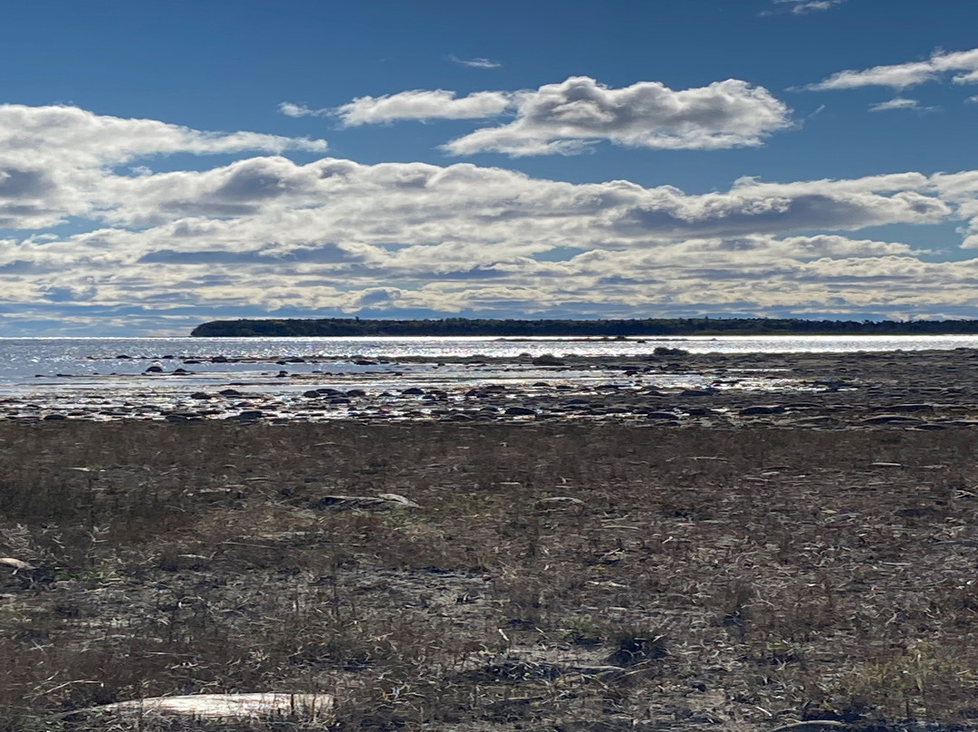 Misery Bay Nature Preserve-Alpena必去景点