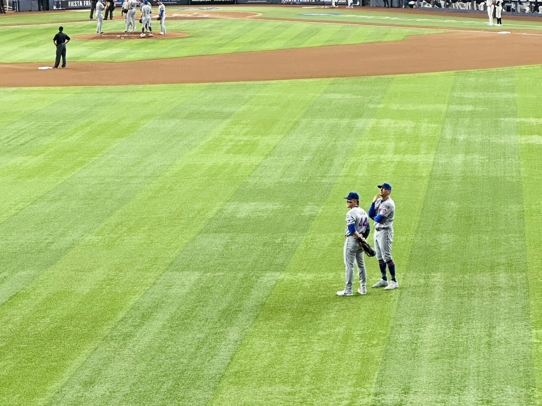 马林鱼棒球场-迈阿密必去景点