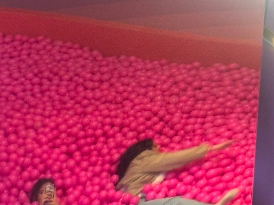 Pink Palace Museum-加亚新城必去景点