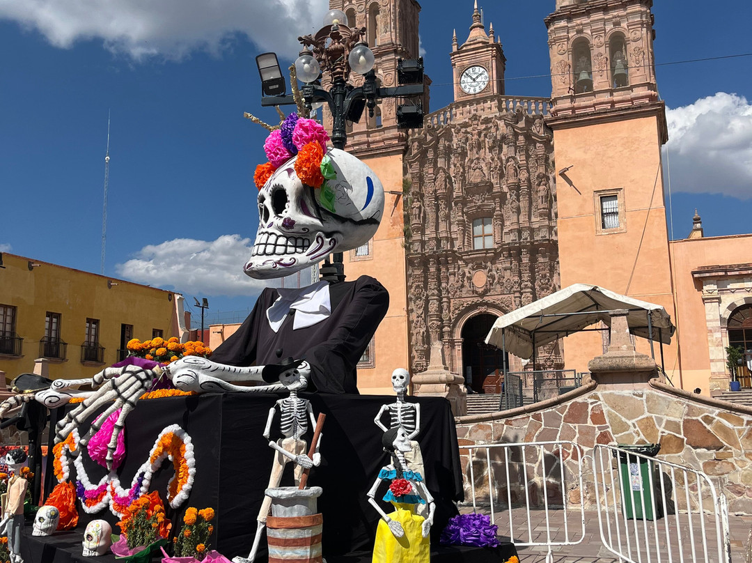 Camiba Cultural Tours-奥斯丁必去景点