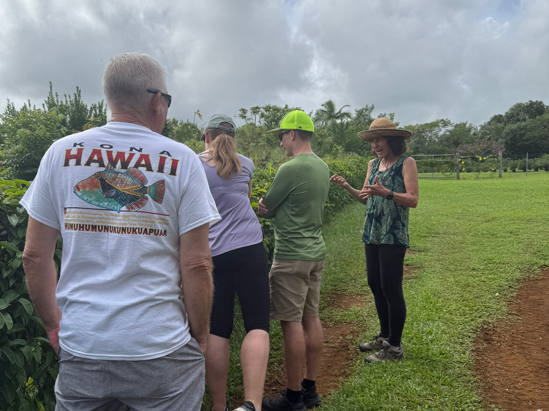 Ancient Leaf Tea-帕派科欧必去景点
