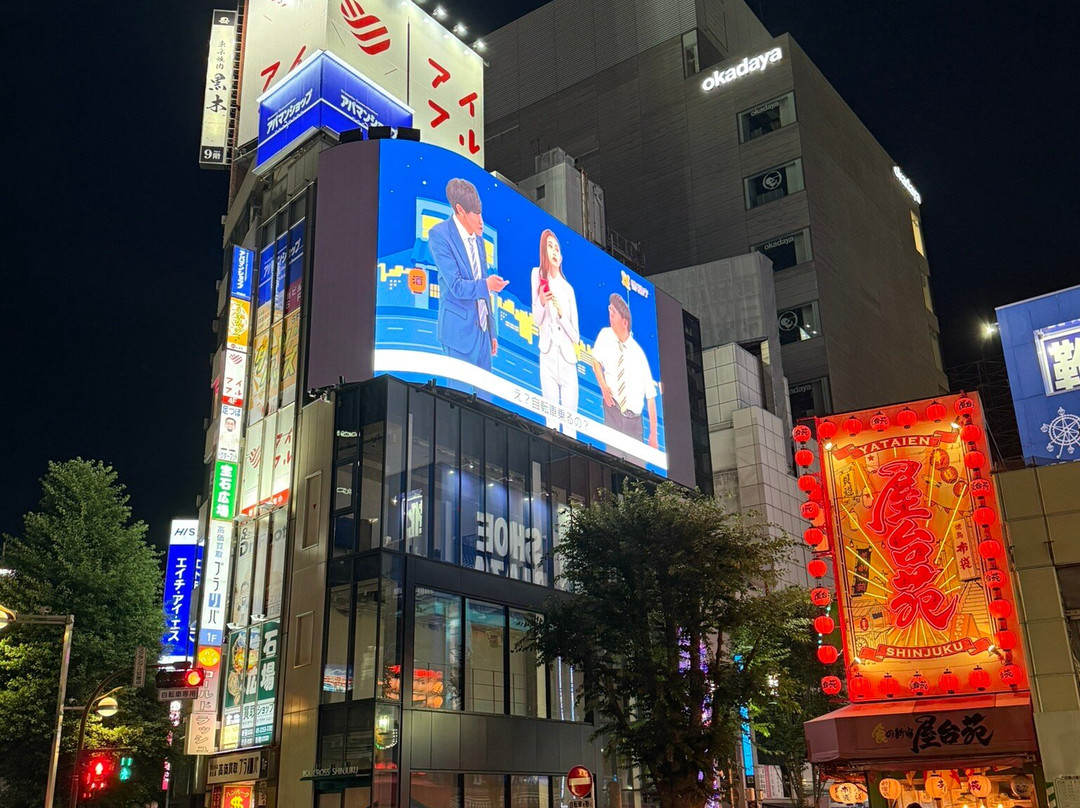 Giant 3d Cat Display Billboard-Shinjuku 3 Chome必去景点