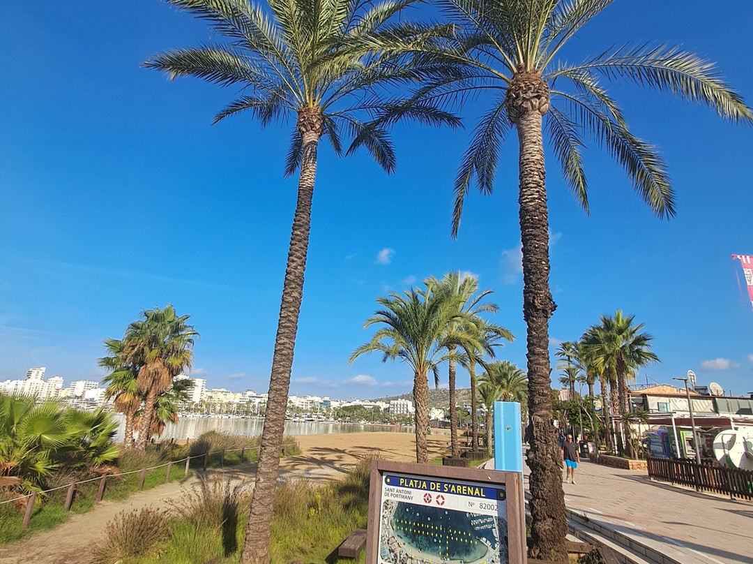 Platja de S'Arenal-圣安东尼德波特曼尼必去景点