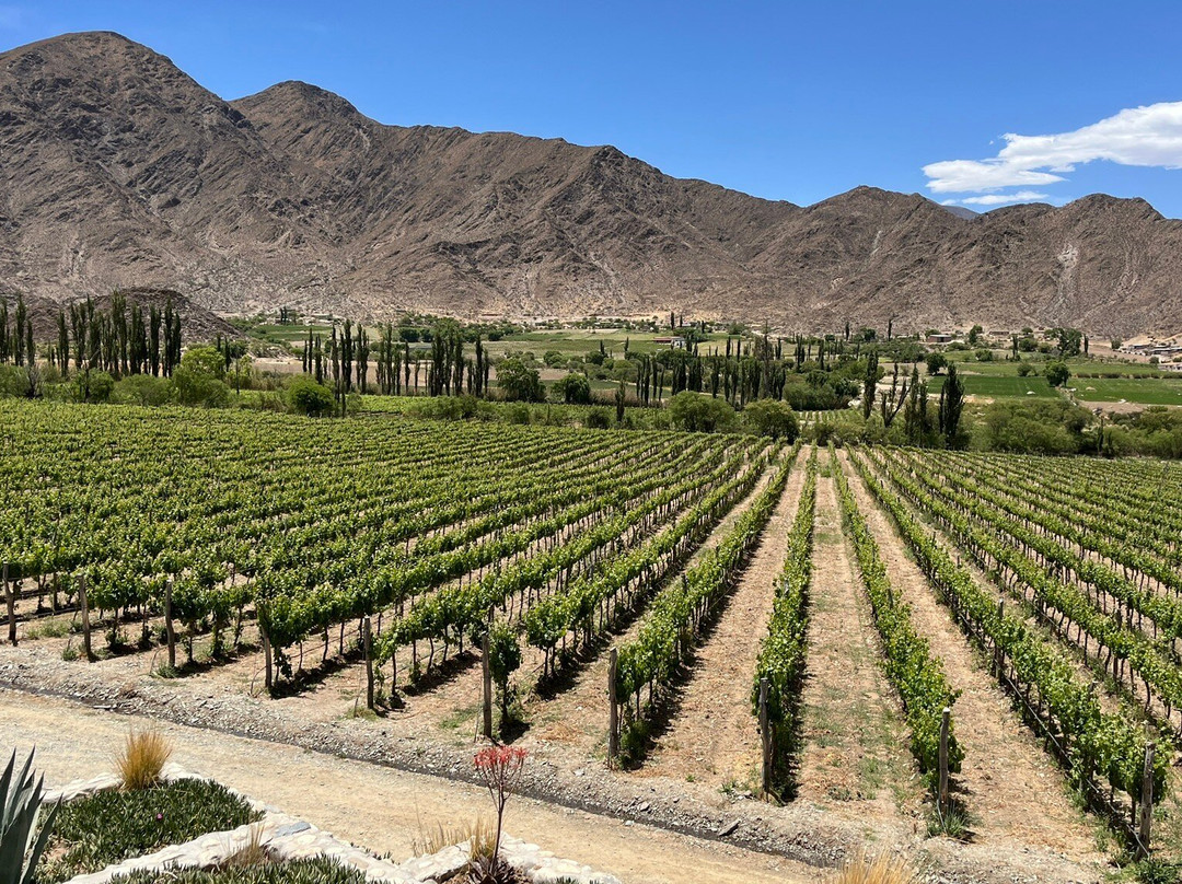 Bodega Puna-卡奇必去景点