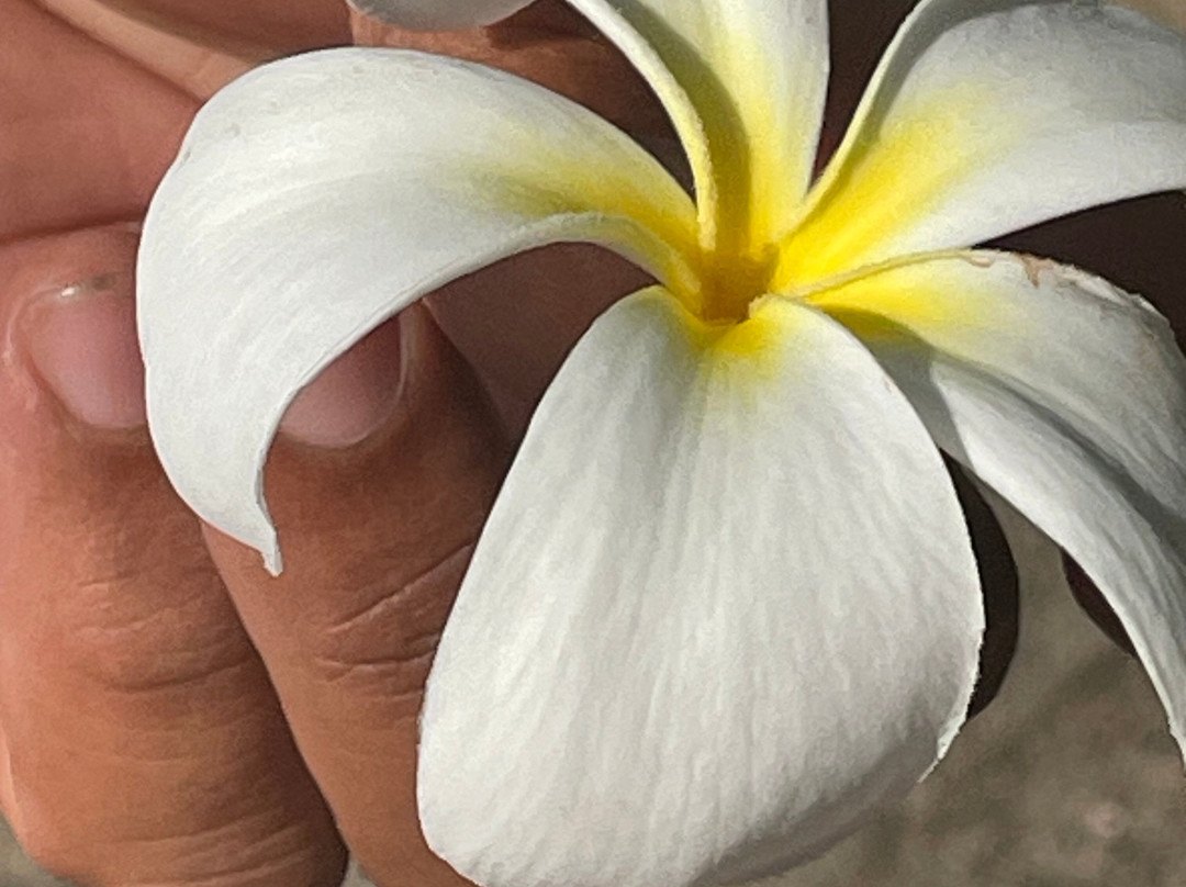 Creole Travel Services-维多利亚必去景点