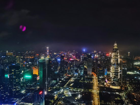 深圳鹏瑞莱佛士酒店-酒店景观