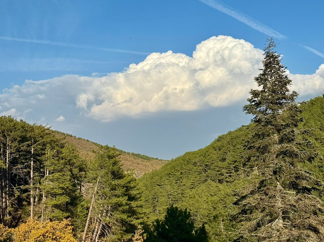 Çam Thermal Resort & Spa Hotel主图