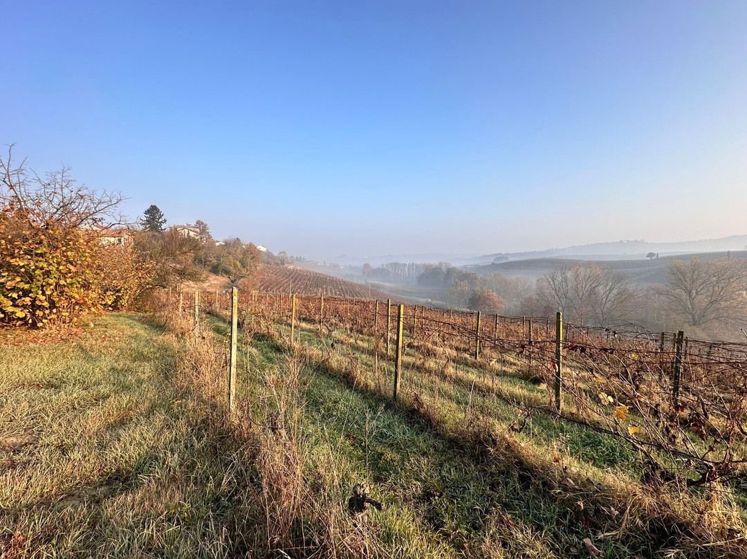 Cascina Ricardin