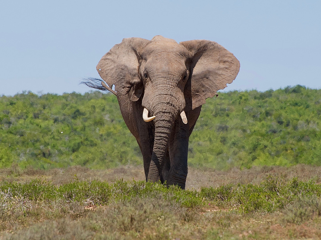Rosedale Organic Farm B&B主图
