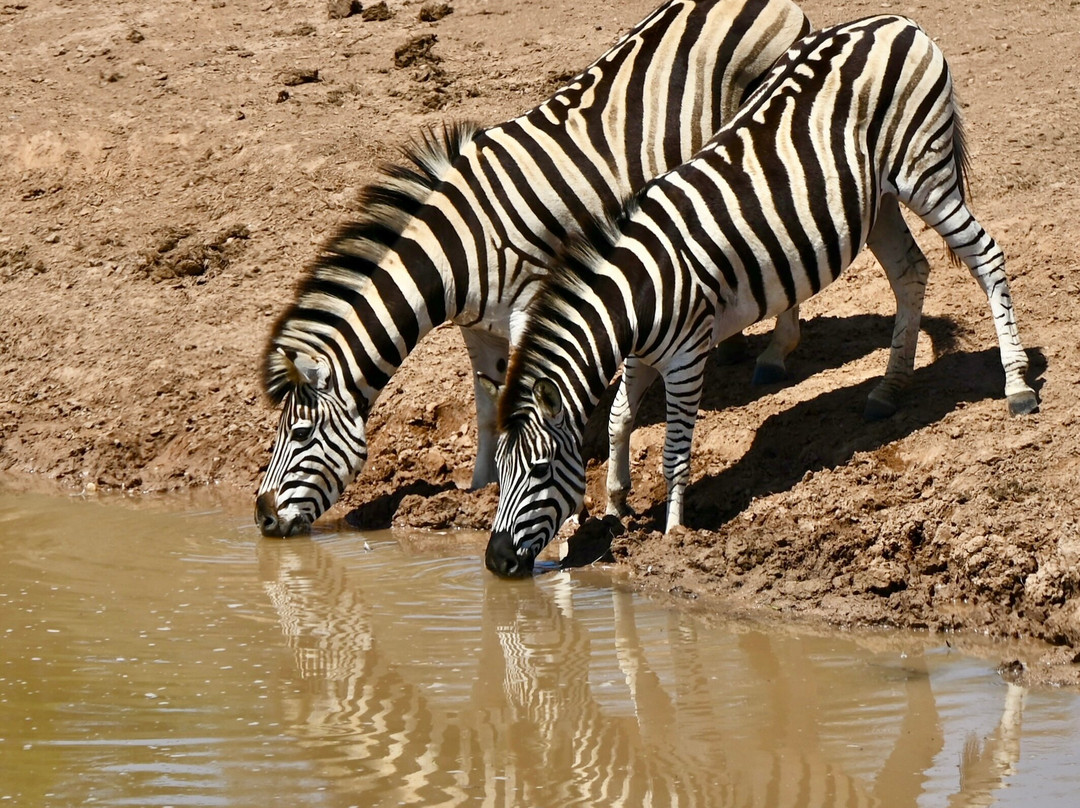 Rosedale Organic Farm B&B主图