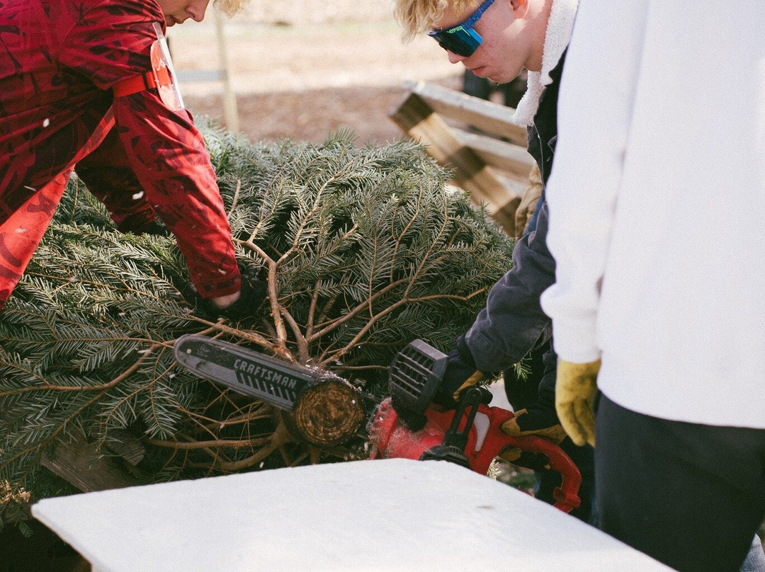 Owasso Christmas Tree And Berry Farm-奥瓦索必去景点