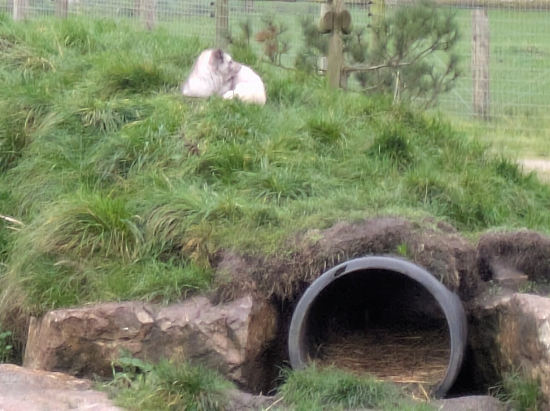 Peak Wildlife Park-Winkhill必去景点