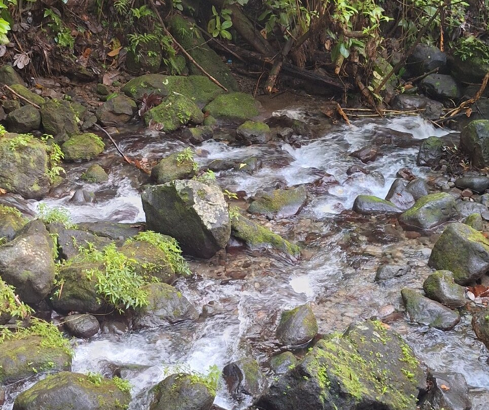 Salton Waterfalls-Saint Joseph必去景点