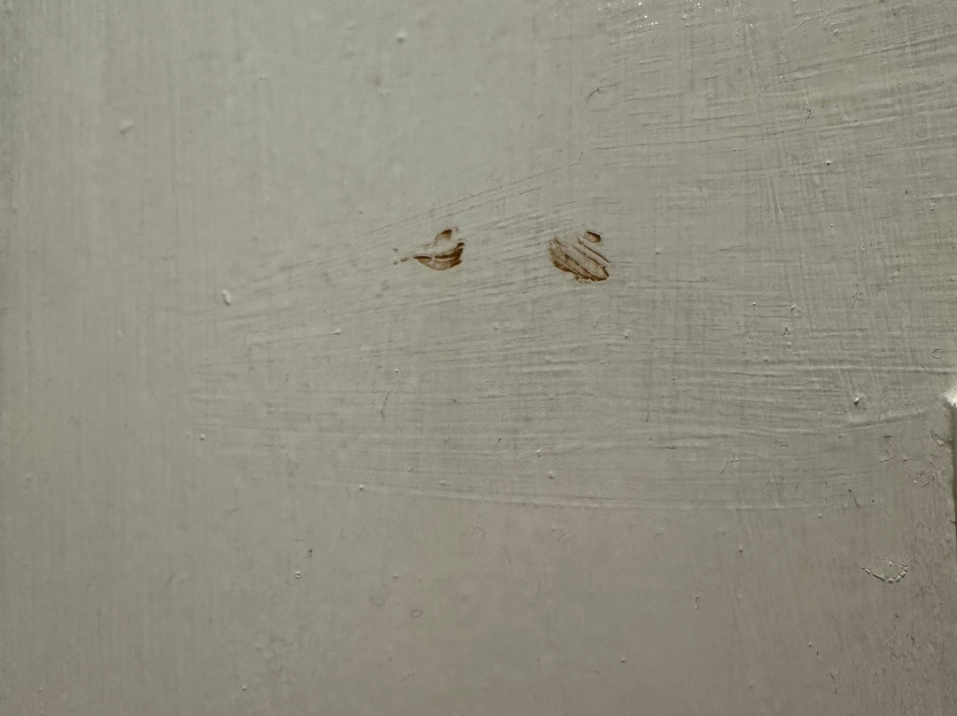 The Royal Hotel主图