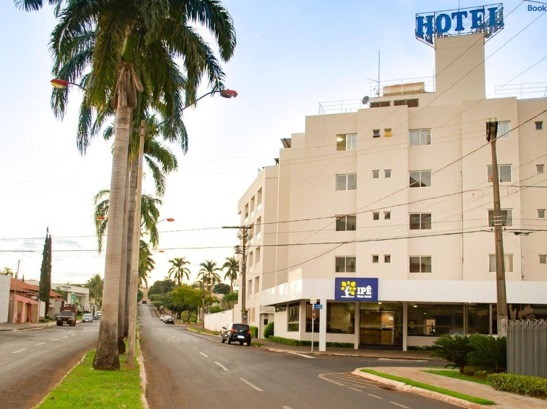 Cachoeira Dourada酒店住宿-Ipe Plaza Hotel