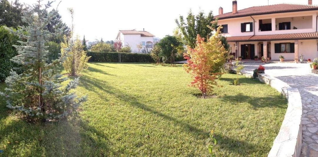 Cherry House Bed&Breakfast主图