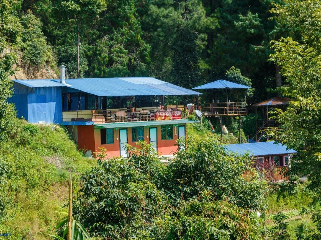 丛林皇冠有机家庭旅馆